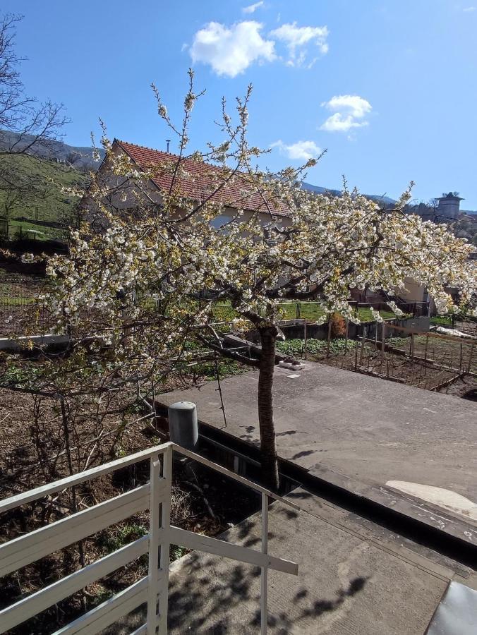 Apartman Bor Livno Exterior foto